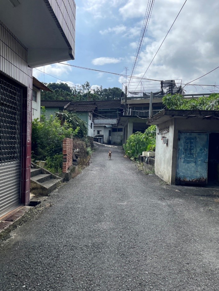 縣長照❤️《陪你日常》