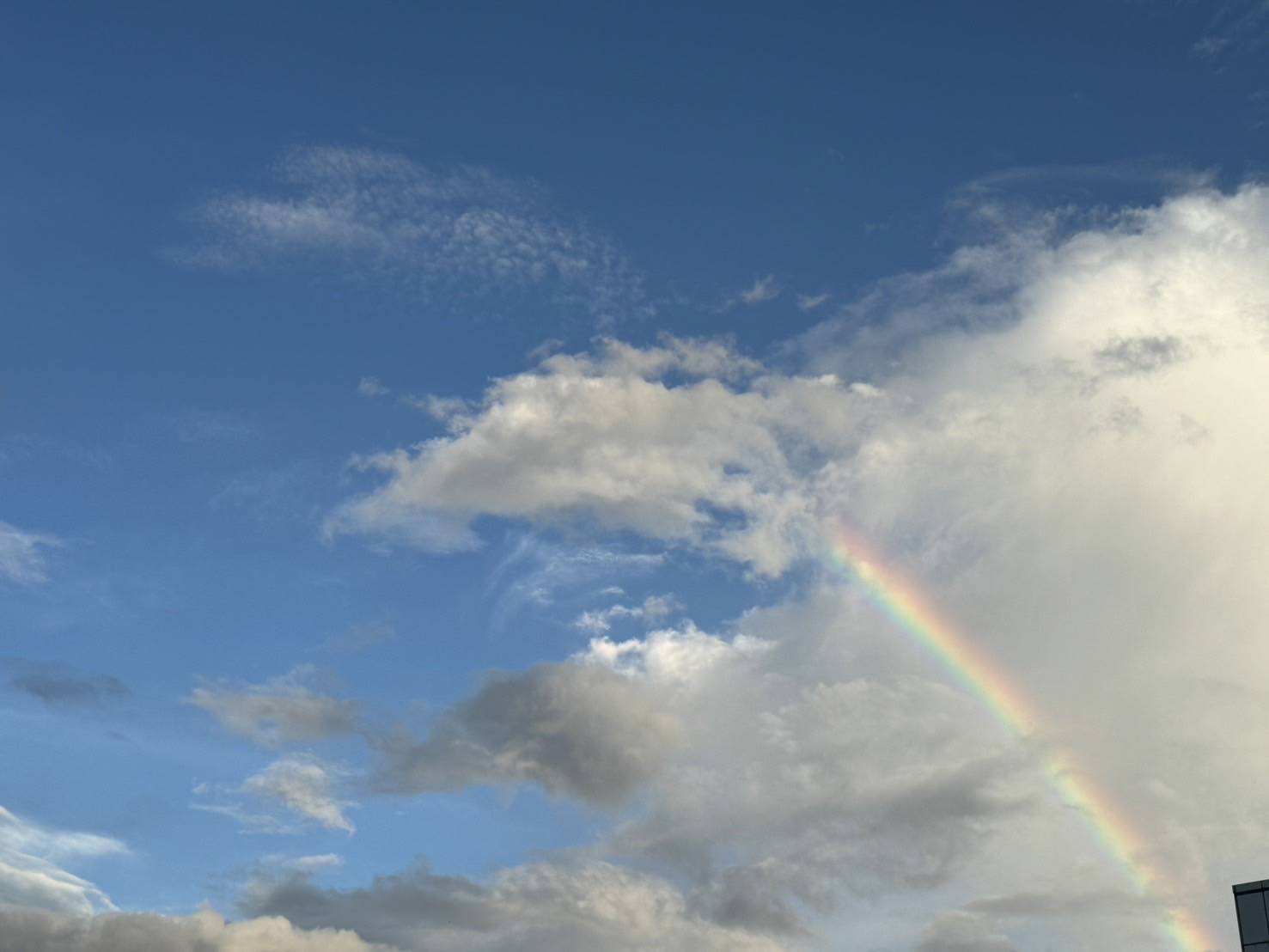 縣長照❤️《雨過天晴的彩虹》
