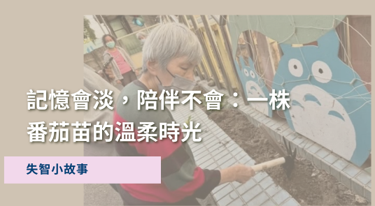 記憶會淡，陪伴不會：一株番茄苗的溫柔時光